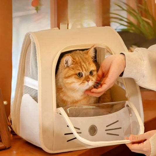 Sac à dos de transport pour chat et petit chien