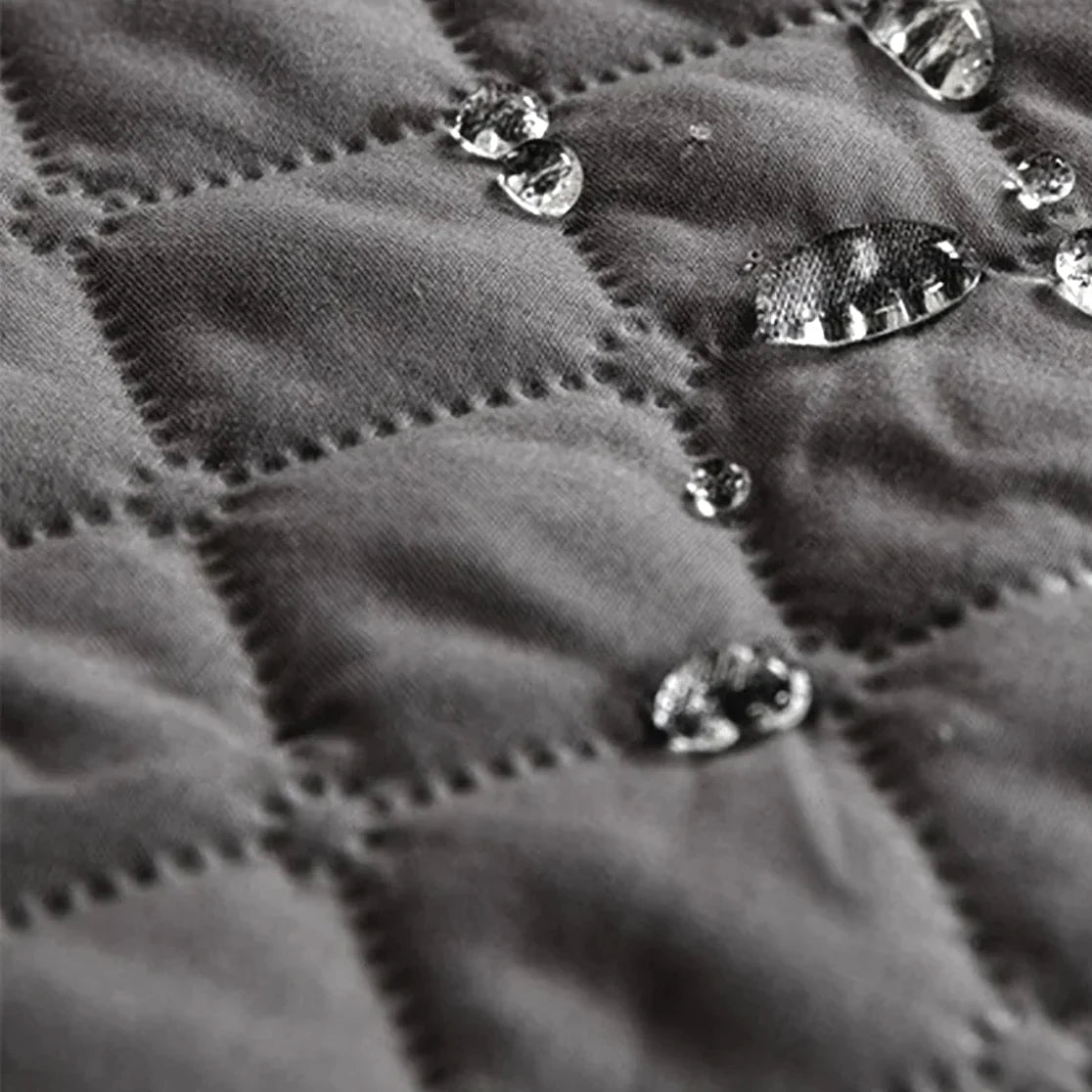 Couverture imperméable pour canapé chien et chat