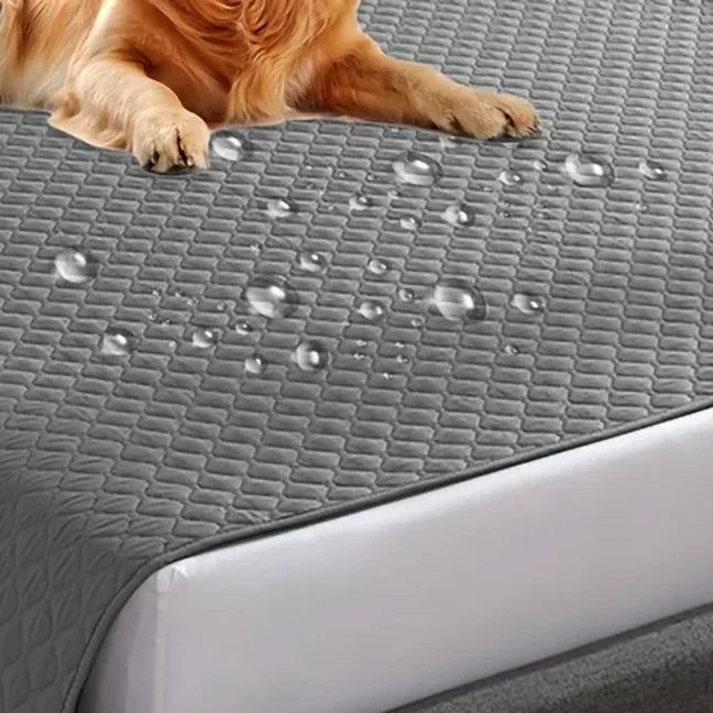 Couverture imperméable pour canapé chien et chat