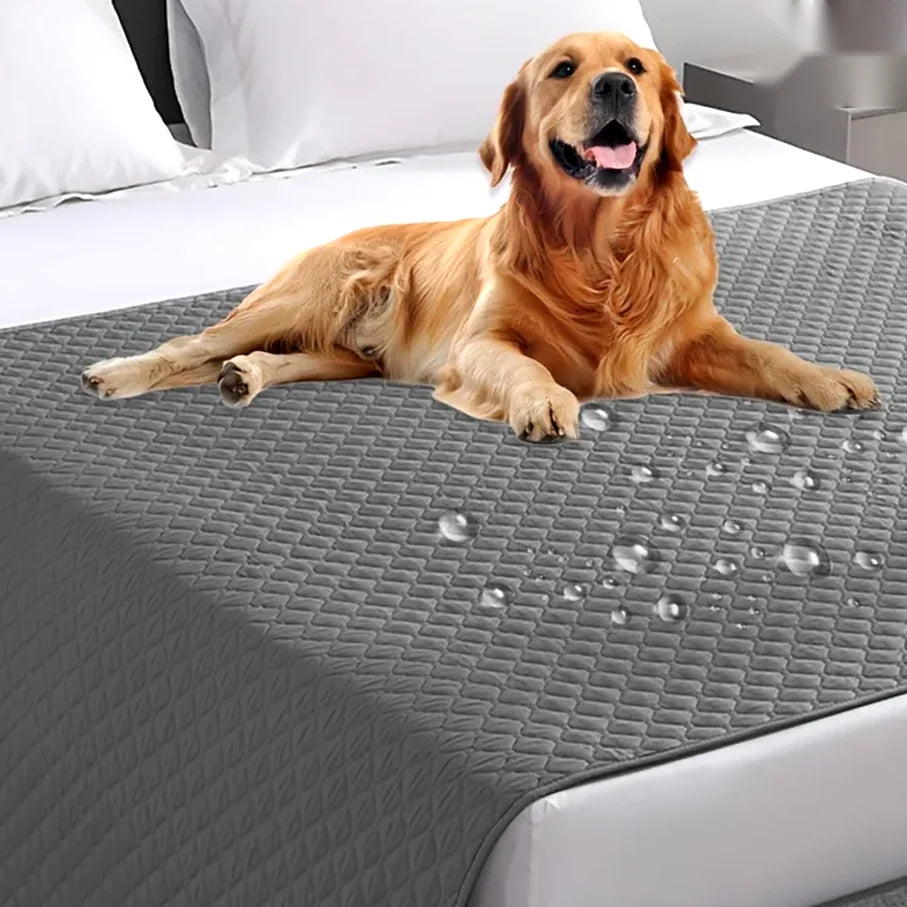 Couverture imperméable pour canapé chien et chat