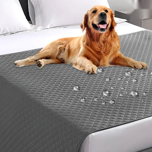 Couverture imperméable pour canapé chien et chat