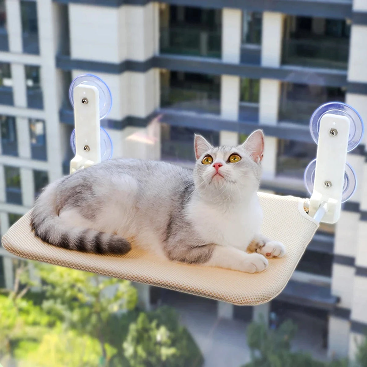 Hamac de fenêtre pour chat à ventouses