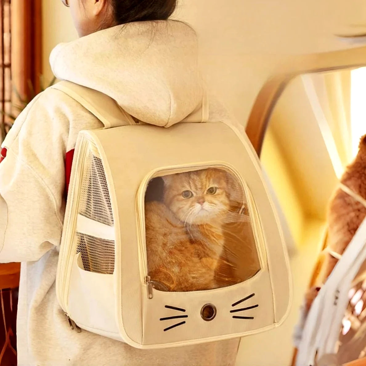 Sac à dos de transport pour chat et petit chien