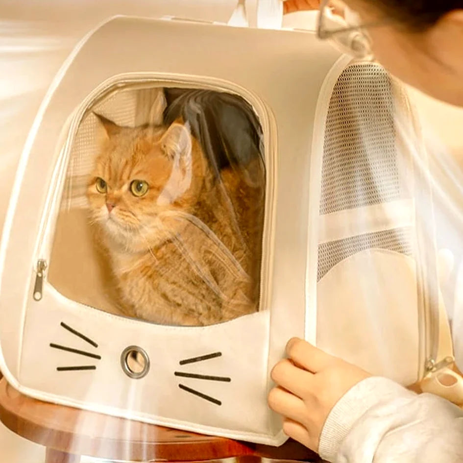 Sac à dos de transport pour chat et petit chien